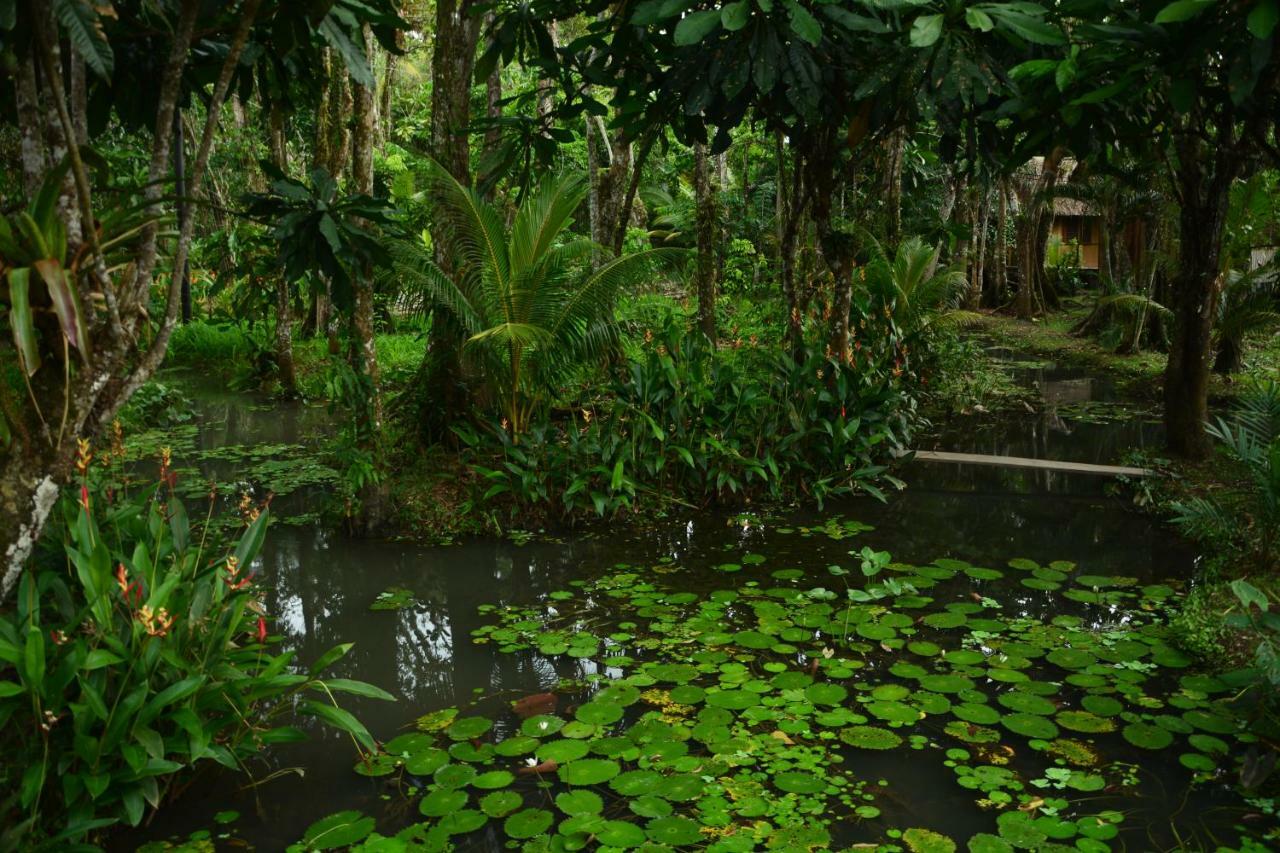 Hotel Kangaroo Y Restaurante Rio Dulce Town Zewnętrze zdjęcie