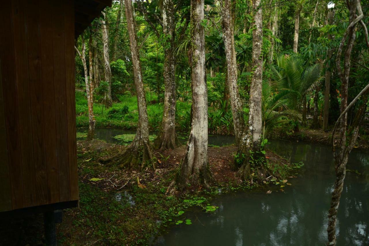 Hotel Kangaroo Y Restaurante Rio Dulce Town Zewnętrze zdjęcie